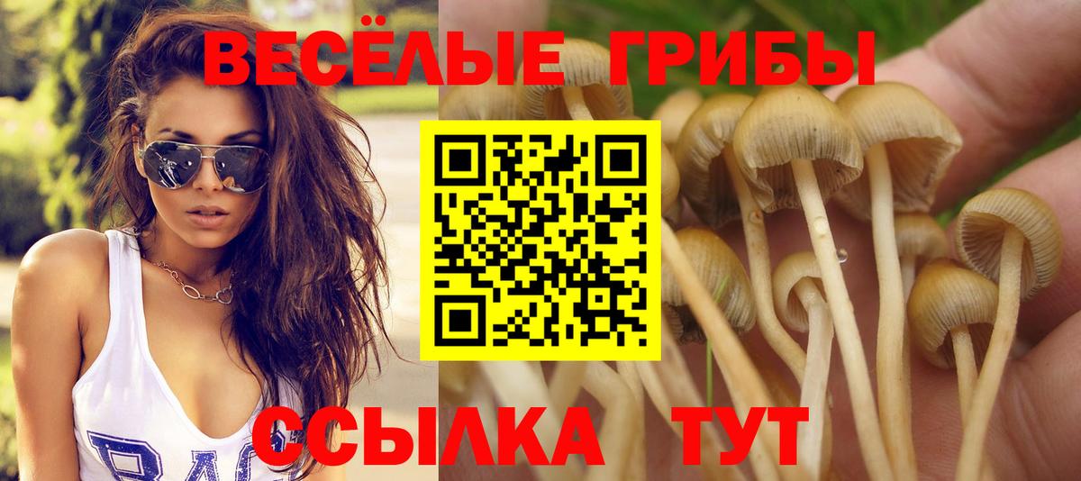 Псилоцибиновые грибы ЛСД Ревда
