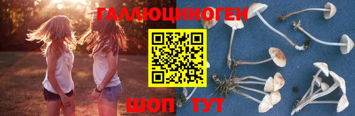 Галлюциногенные грибы Magic Shrooms  Вход с VPN  Ревда 